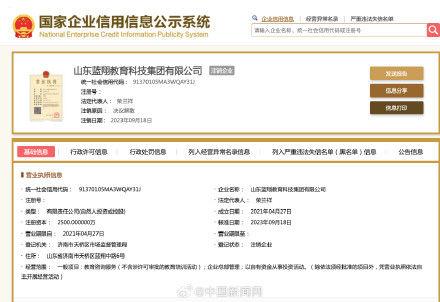 山东蓝翔教育科技集团有限公司注销