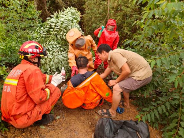 男子爬20米树取蜂窝泡酒被困 &nbsp; 网友:这会真是捅了蜂窝