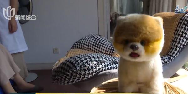 上海地铁站惊现一排"丑钟表"?网友却看泪目了… 上海地铁站惊现一排"丑钟表"?网友却看泪目了…