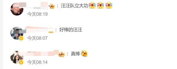 “汪汪队”立功,加鸡腿!一盆! “汪汪队”立功,加鸡腿!一盆!
