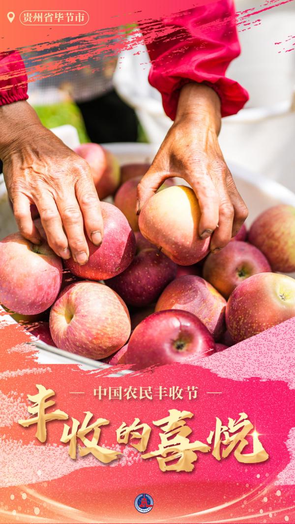 丰收的喜悦
