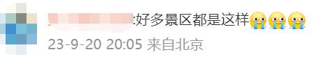上海迪士尼被告上法庭