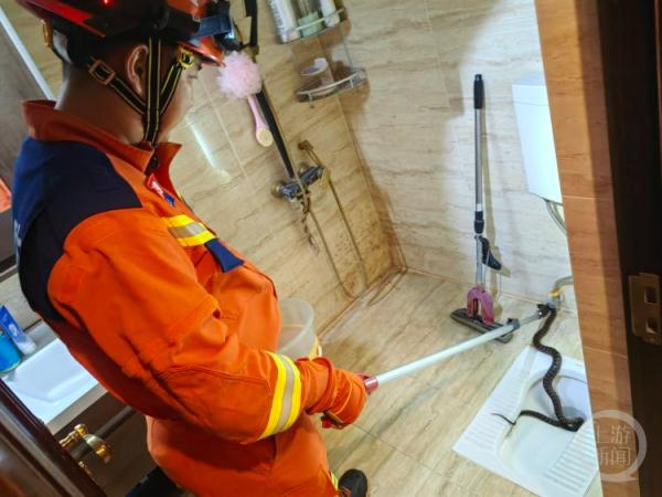 两米大蛇半夜闯入厕所 女主人慌忙报警 两米大蛇半夜闯入厕所 女主人慌忙报警