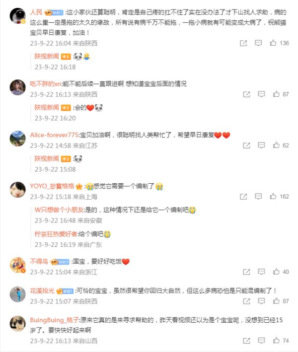 进村睡觉的野生大熊猫，最新体检结果来了！