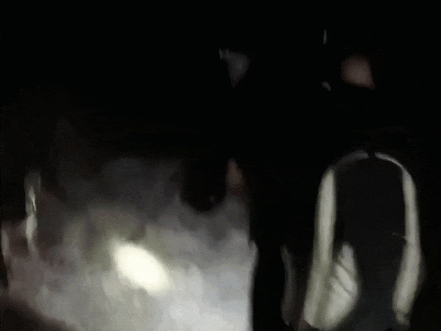 “汪汪队”立功,加鸡腿!一盆! “汪汪队”立功,加鸡腿!一盆!