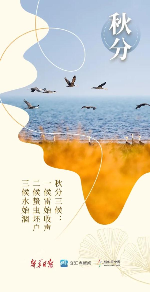 今日秋分，恰是人间好时节！