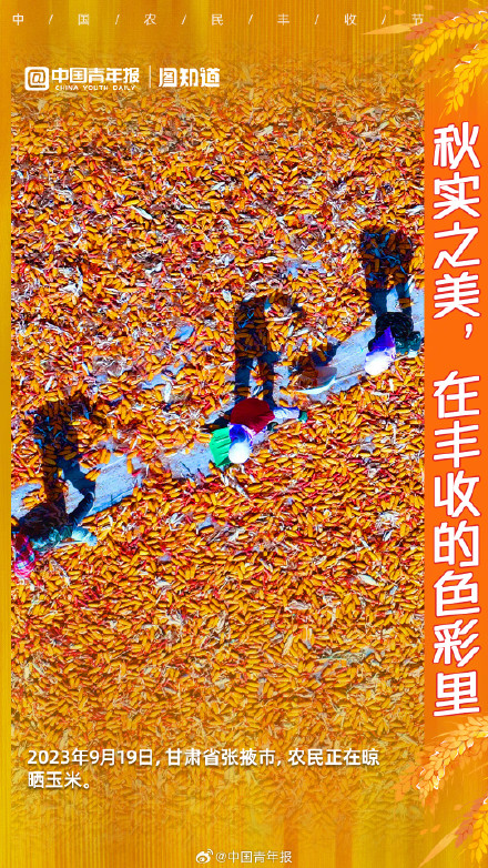 秋实之美，在丰收的色彩里