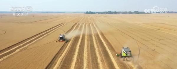 丰收中国舒展美丽画卷 田间地头洋溢丰收喜悦 丰收中国舒展美丽画卷 田间地头洋溢丰收喜悦