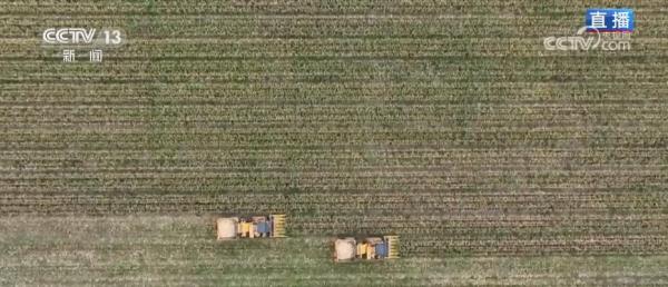 新疆塔城粮食作物实现高标准农田全覆盖 新疆塔城粮食作物实现高标准农田全覆盖