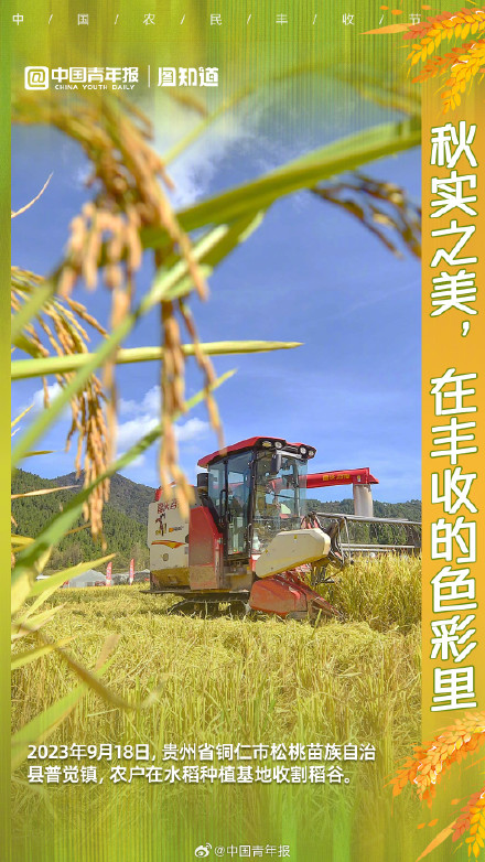 秋实之美，在丰收的色彩里