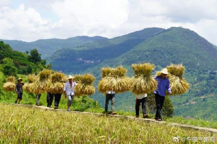 秋分至！又是一年好“丰”景
