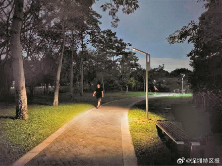 能让鸟类筑巢的路灯在深圳落地 能让鸟类筑巢的路灯在深圳落地