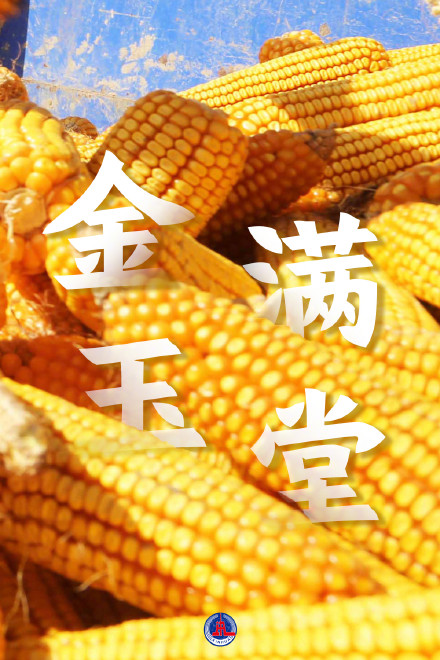 多彩丰收壁纸来了