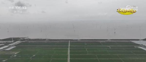 唤醒“沉睡”后备耕地资源 稳固保障我国粮食安全