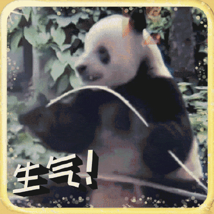 萌翻啦！大熊猫表情包最新出炉