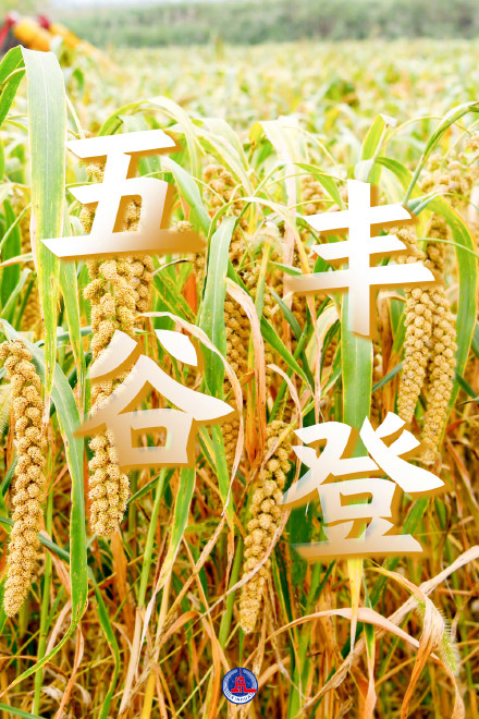 多彩丰收壁纸来了