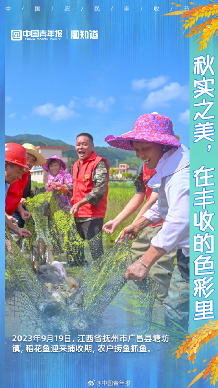 秋实之美，在丰收的色彩里