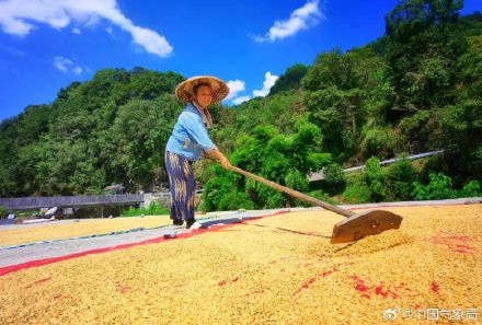 秋分至！又是一年好“丰”景