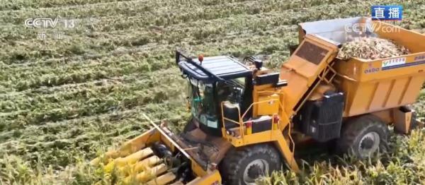 新疆塔城粮食作物实现高标准农田全覆盖 新疆塔城粮食作物实现高标准农田全覆盖