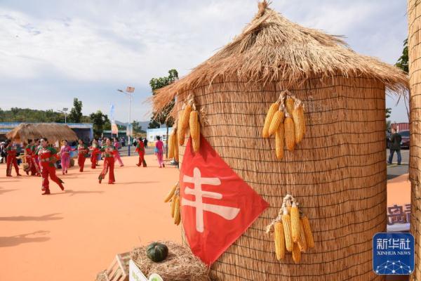 青岛：庆祝丰收节