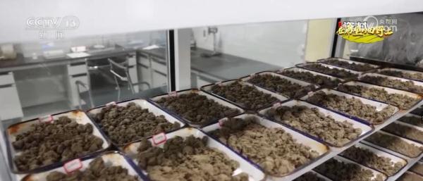 唤醒“沉睡”后备耕地资源 稳固保障我国粮食安全