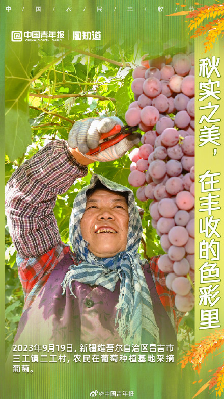 秋实之美，在丰收的色彩里