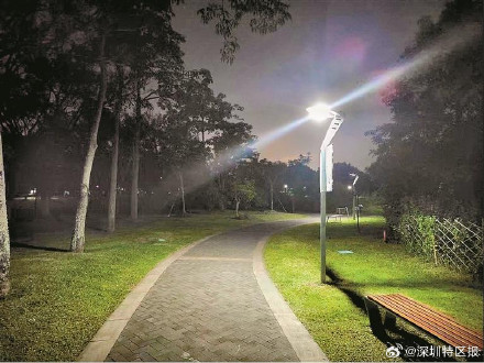 能让鸟类筑巢的路灯在深圳落地 能让鸟类筑巢的路灯在深圳落地