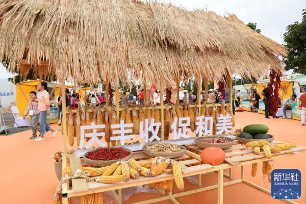 青岛：庆祝丰收节