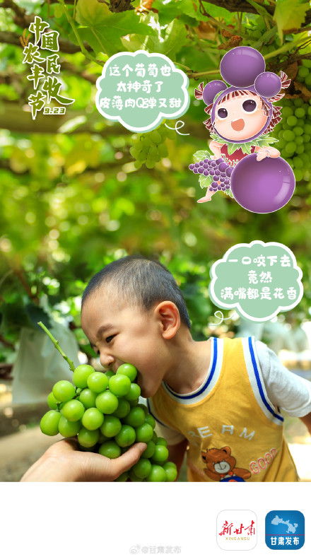 丰收佳节，不负好“食”光