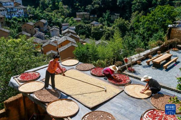 “飞阅”秋收“好丰景” |皖南古村“晒秋” “飞阅”秋收“好丰景” |皖南古村“晒秋”