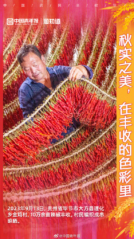 秋实之美，在丰收的色彩里