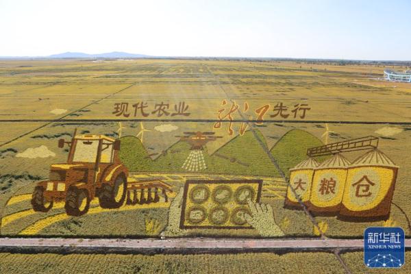 黑龙江:稻“画”香里说丰年 黑龙江:稻“画”香里说丰年