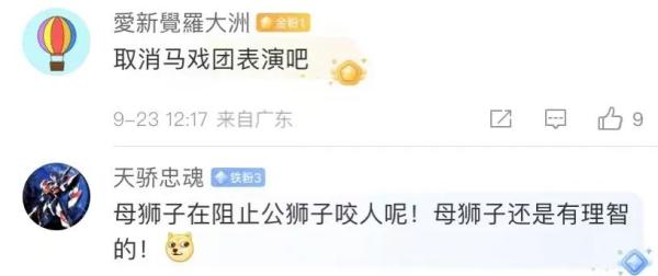 心惊胆颤！马戏团狮子撕咬工作人员，观众尖叫逃散……