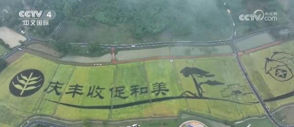 丰收中国舒展美丽画卷 田间地头洋溢丰收喜悦 丰收中国舒展美丽画卷 田间地头洋溢丰收喜悦