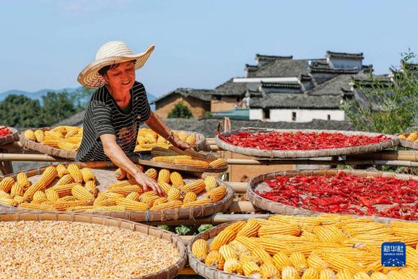 “飞阅”秋收“好丰景” |皖南古村“晒秋” “飞阅”秋收“好丰景” |皖南古村“晒秋”