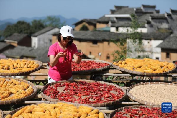 “飞阅”秋收“好丰景” |皖南古村“晒秋” “飞阅”秋收“好丰景” |皖南古村“晒秋”