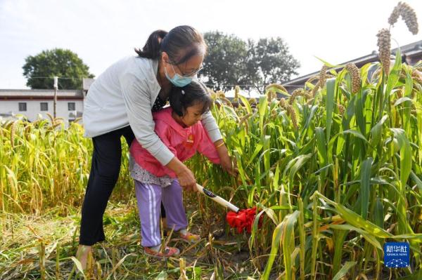 北京：先农坛里体验秋收农耕