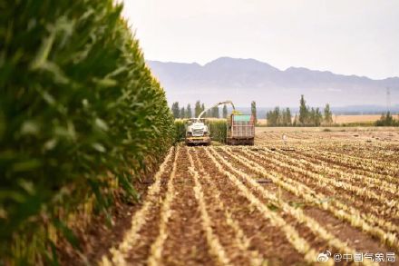 秋分至！又是一年好“丰”景