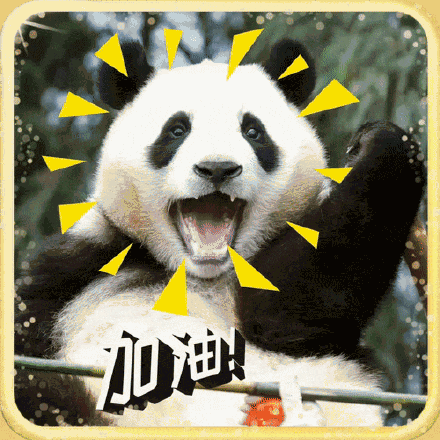 萌翻啦！大熊猫表情包最新出炉