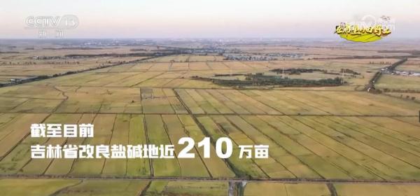 唤醒“沉睡”后备耕地资源 稳固保障我国粮食安全