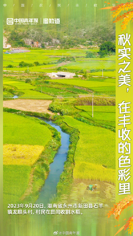 秋实之美，在丰收的色彩里