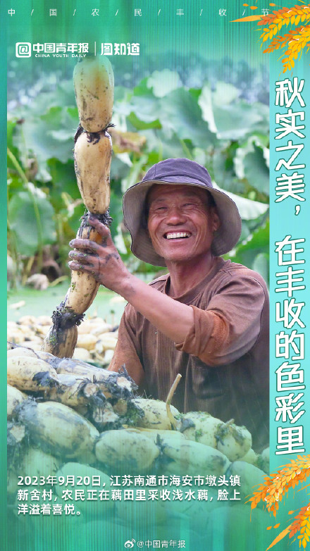 秋实之美，在丰收的色彩里