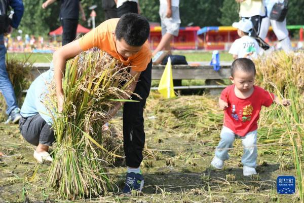 北京海淀:“稻香传韵 非遗承情”文化艺术节举办 北京海淀:“稻香传韵 非遗承情”文化艺术节举办