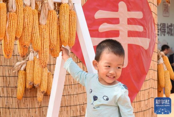 青岛：庆祝丰收节