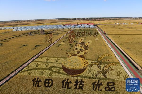 黑龙江:稻“画”香里说丰年 黑龙江:稻“画”香里说丰年