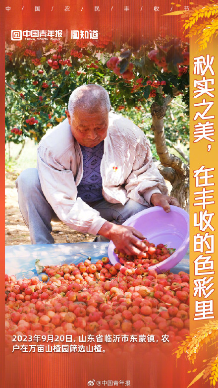 秋实之美，在丰收的色彩里