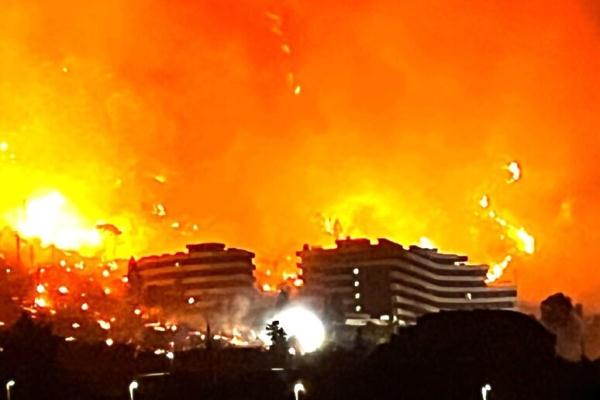 意大利西西里岛森林火灾已致2人死亡