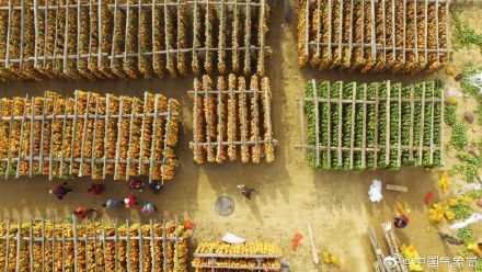 秋分至！又是一年好“丰”景