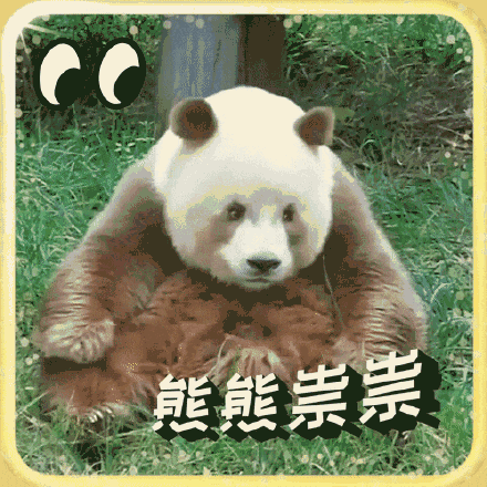 萌翻啦！大熊猫表情包最新出炉