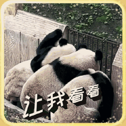 萌翻啦！大熊猫表情包最新出炉